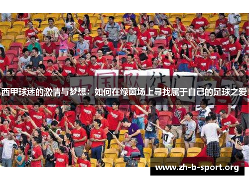 西甲球迷的激情与梦想：如何在绿茵场上寻找属于自己的足球之爱