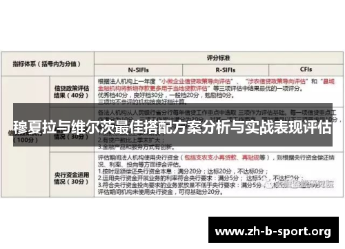 穆夏拉与维尔茨最佳搭配方案分析与实战表现评估