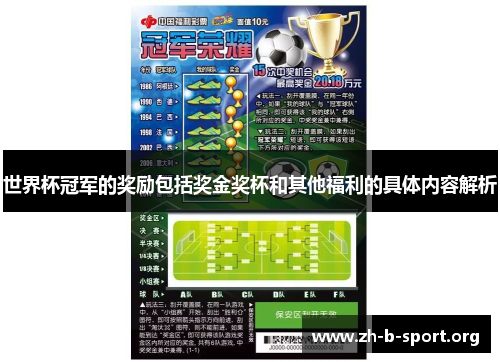 世界杯冠军的奖励包括奖金奖杯和其他福利的具体内容解析