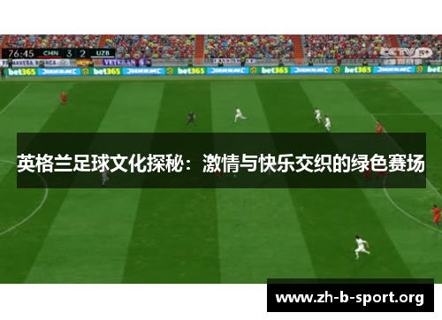 英格兰足球文化探秘：激情与快乐交织的绿色赛场
