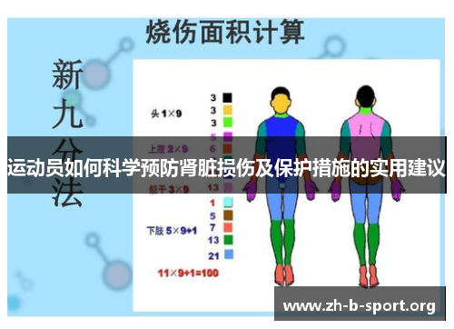 运动员如何科学预防肾脏损伤及保护措施的实用建议 运动员如何科学预防肾脏损伤及保护措施的实用建议