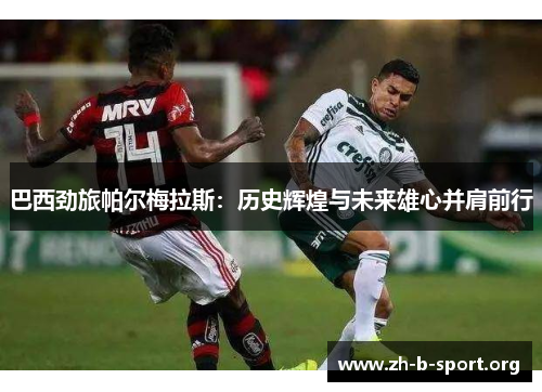 巴西劲旅帕尔梅拉斯：历史辉煌与未来雄心并肩前行