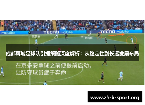 成都蓉城足球队引援策略深度解析：从稳定性到长远发展布局