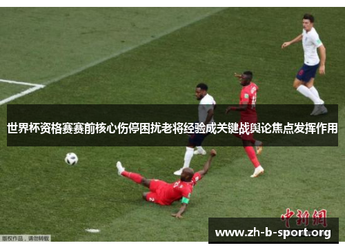 世界杯资格赛赛前核心伤停困扰老将经验成关键战舆论焦点发挥作用